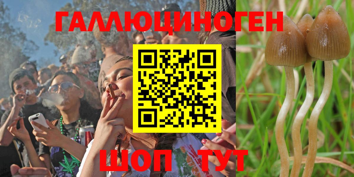Псилоцибиновые грибы мицелий Карачаевск