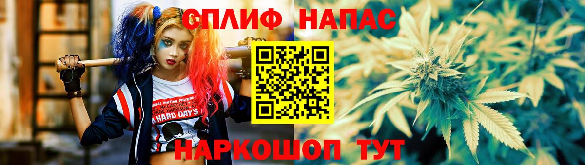 Марихуана план Карачаевск